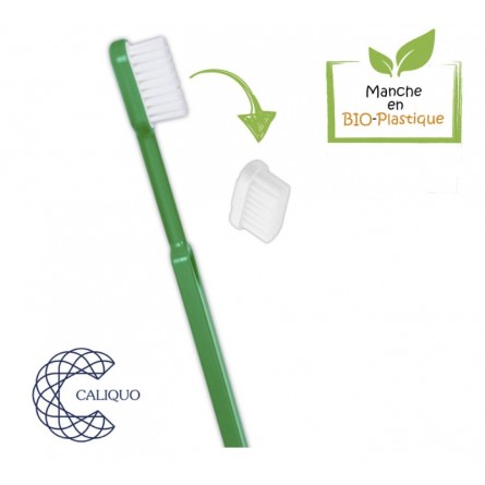 Lot de 2 têtes (recharges) pour Brosse à dents écologique Caliquo