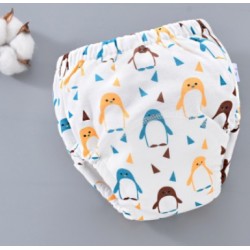 culotte d'apprentissage pas cher, couche apprentissage propreté, culotte d apprentissage lavable