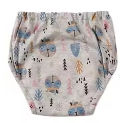 culotte d'apprentissage pas cher, couche apprentissage propreté, culotte d apprentissage lavable